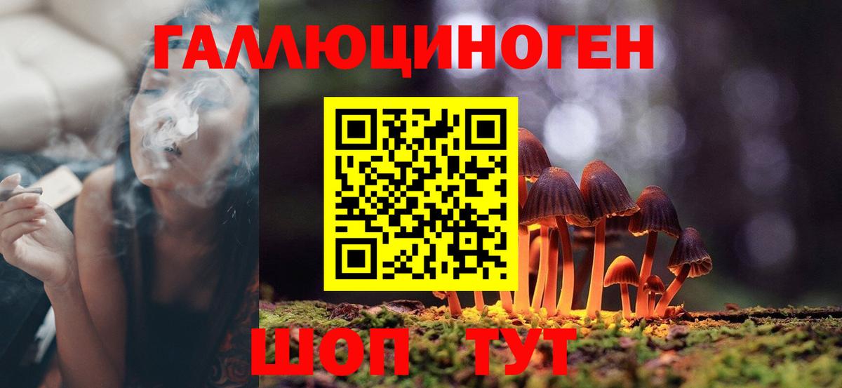 Галлюциногенные грибы Psilocybe  как найти закладки  Минусинск  Вход с VPN 